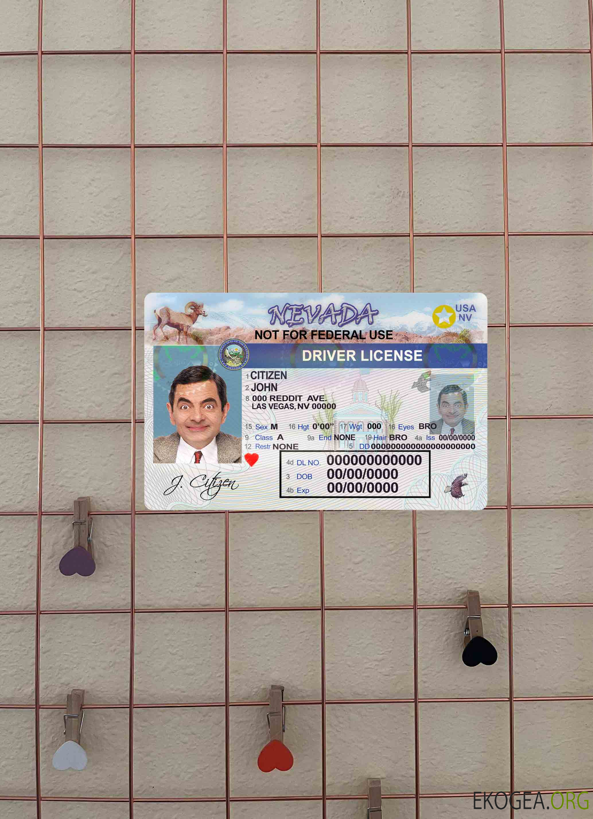 USA Nevada DL photolook AVANT